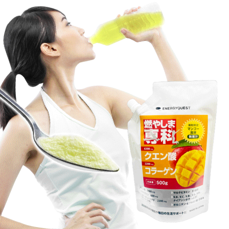 【定期購入】燃やしま専科 マンゴー風味 500g 