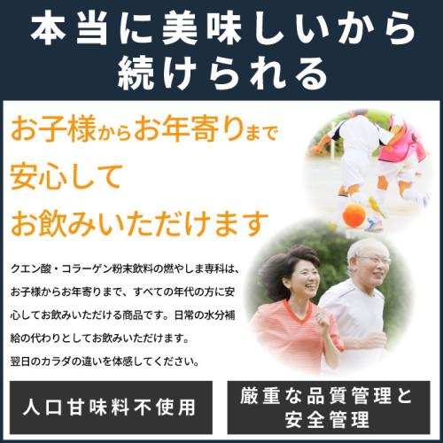 【定期購入】燃やしま専科レモン風味500g 