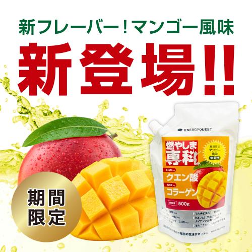 【通常購入】燃やしま専科 マンゴー風味 500g 