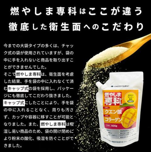 【通常購入】燃やしま専科 マンゴー風味 500g 